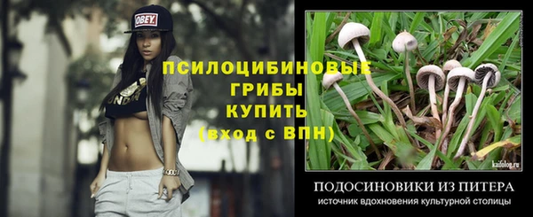 винт Новодвинск