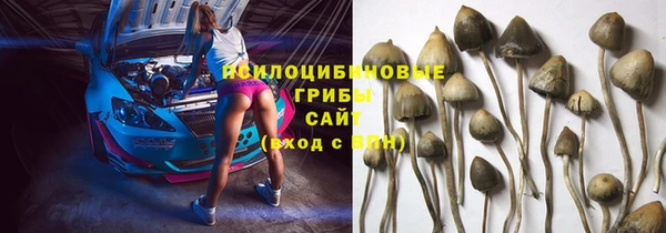 героин Новозыбков