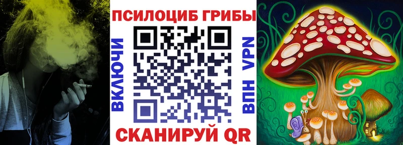 Псилоцибиновые грибы MAGIC MUSHROOMS  продажа наркотиков  Змеиногорск 